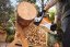 AKU pila STIHL MSA 80 C-B