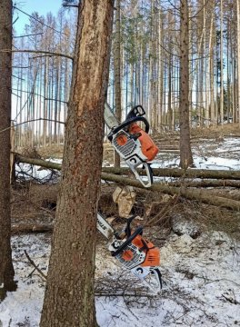 Vyhlášení vítěze soutěže ChciPilu.cz nejen o poukaz na profi pilu STIHL