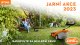 JARNÍ AKCE STIHL 2023