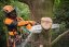 Akumulátorová pila STIHL MSA 220 TC-O