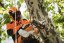 Přilba STIHL ADVANCE X-Climb