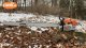 VIDEO: Motorová pila STIHL MS 881 + Rollomatic 150 cm