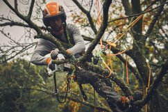 Akumulátorová pila STIHL GTA 40 SET
