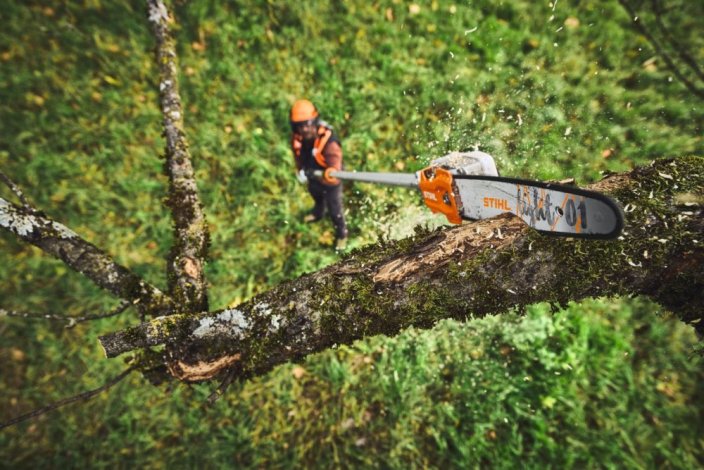 Vyvětvovací AKU pila STIHL HTA 110