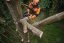 Akumulátorová pila STIHL MSA 220 TC-O