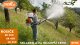 Rosiče STIHL skladem !