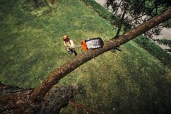 Vyvětvovací AKU pila STIHL HTA 160 Vyvětvovací AKU pila STIHL HTA 160